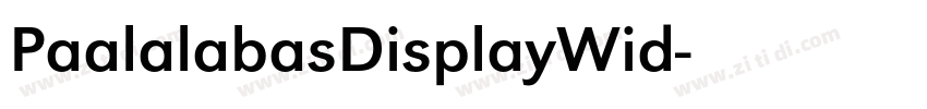 PaalalabasDisplayWid字体转换