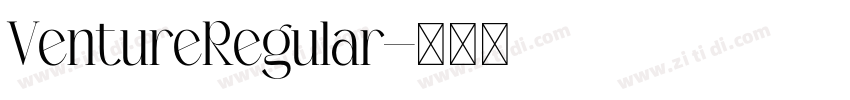 VentureRegular字体转换