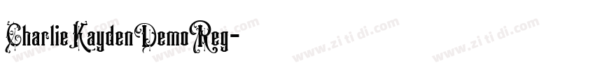 CharlieKaydenDemoReg字体转换