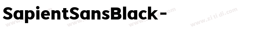 SapientSansBlack字体转换