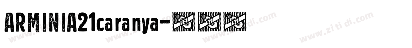 ARMINIA21caranya字体转换