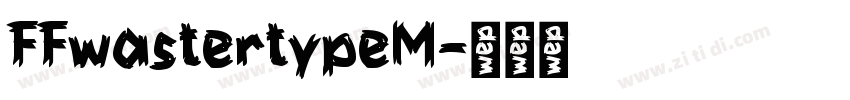 FFwastertypeM字体转换