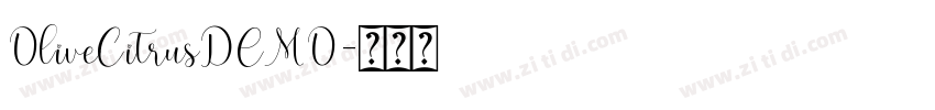 OliveCitrusDEMO字体转换