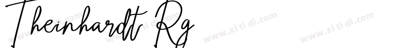 Theinhardt-Rg字体转换