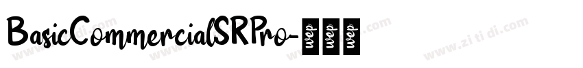 BasicCommercialSRPro字体转换