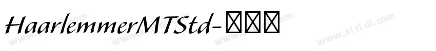 HaarlemmerMTStd字体转换