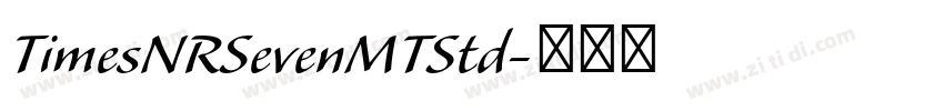 TimesNRSevenMTStd字体转换