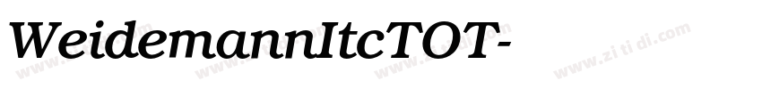WeidemannItcTOT字体转换 WeidemannItcTOT字体转换