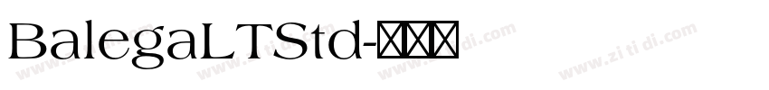 BalegaLTStd字体转换