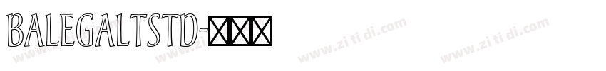 BalegaLTStd字体转换