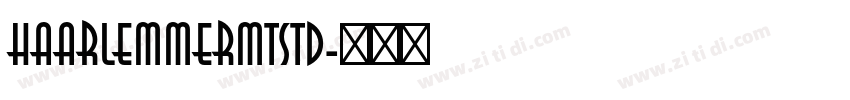 HaarlemmerMTStd字体转换