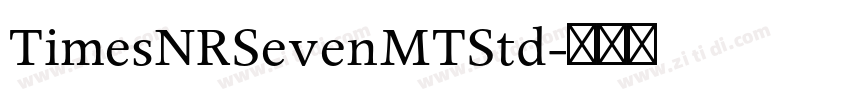 TimesNRSevenMTStd字体转换