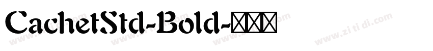 CachetStd-Bold字体转换