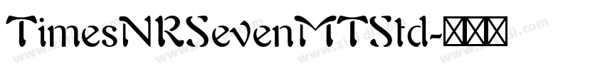 TimesNRSevenMTStd字体转换
