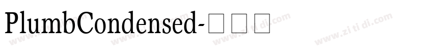PlumbCondensed字体转换