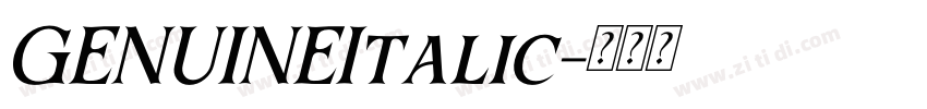GENUINEItalic字体转换 GENUINEItalic字体转换