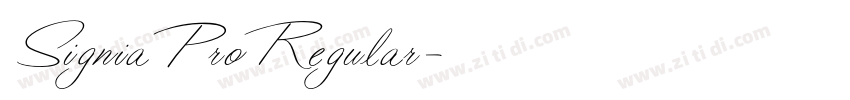 SigniaProRegular字体转换