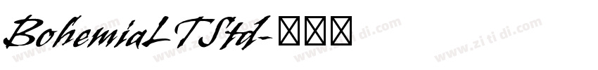 BohemiaLTStd字体转换