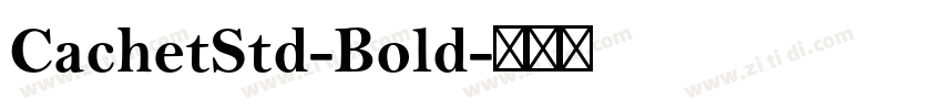 CachetStd-Bold字体转换