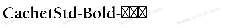 CachetStd-Bold字体转换