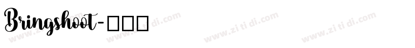 Bringshoot字体转换