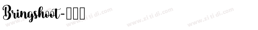 Bringshoot字体转换