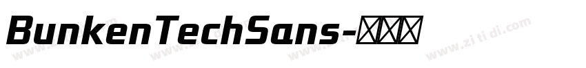 BunkenTechSans字体转换