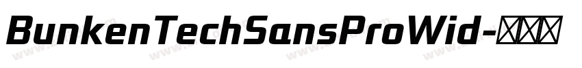 BunkenTechSansProWid字体转换