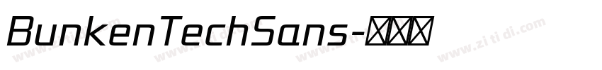 BunkenTechSans字体转换