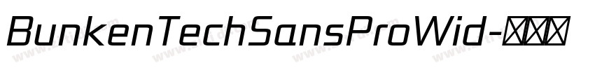 BunkenTechSansProWid字体转换