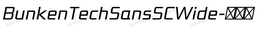BunkenTechSansSCWide字体转换