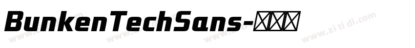 BunkenTechSans字体转换