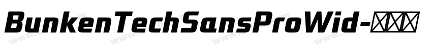 BunkenTechSansProWid字体转换