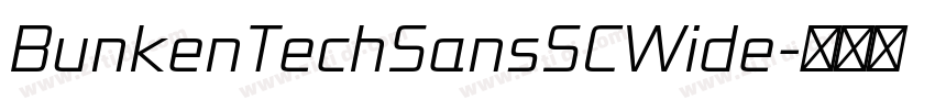 BunkenTechSansSCWide字体转换