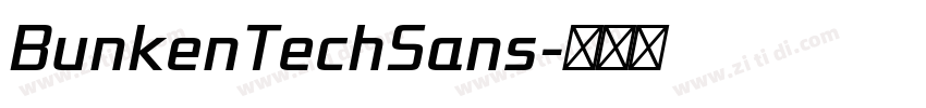 BunkenTechSans字体转换