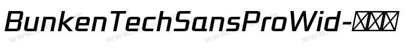 BunkenTechSansProWid字体转换