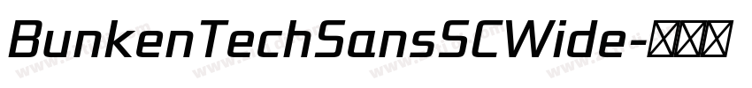 BunkenTechSansSCWide字体转换