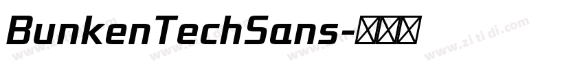 BunkenTechSans字体转换