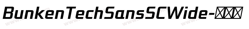 BunkenTechSansSCWide字体转换