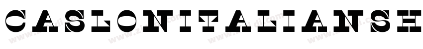 CaslonItalianShaded字体转换