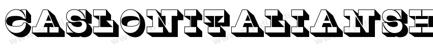 CaslonItalianShaded字体转换