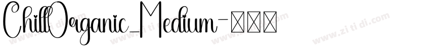 ChillOrganic_Medium字体转换