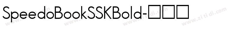 SpeedoBookSSKBold字体转换