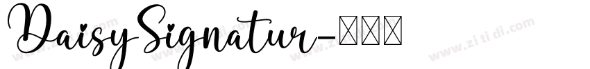 DaisySignatur字体转换