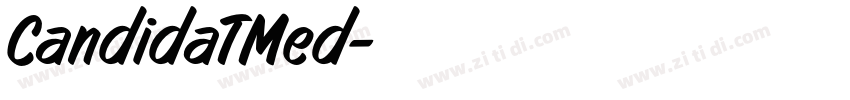 CandidaTMed字体转换