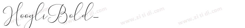 HoogliBold字体转换