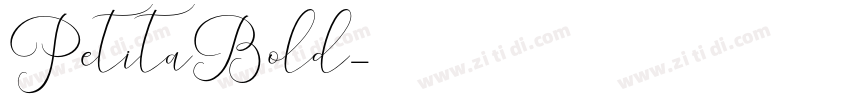 PetitaBold字体转换
