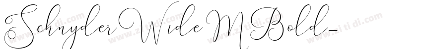 SchnyderWideMBold字体转换