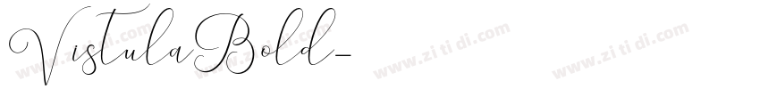 VistulaBold字体转换
