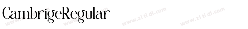 CambrigeRegular字体转换 CambrigeRegular字体转换
